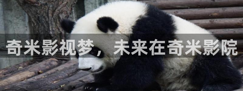 久久影院热：奇米影视梦，未来在奇米影院