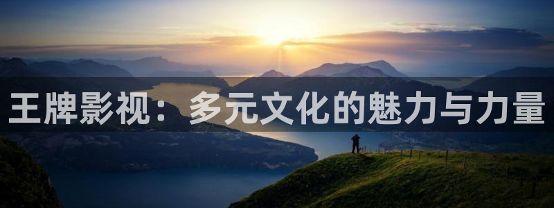 岛国久久影院：王牌影视：多元文化的魅力与力量